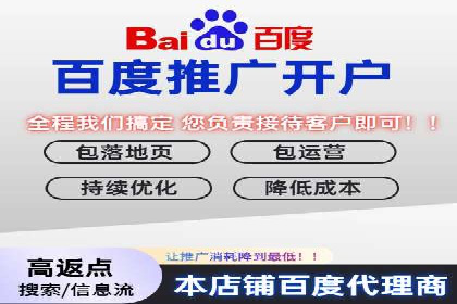 百度SEM推广案例：揭秘行业领军企业的成功之路